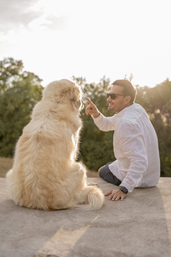 hundefotografin-niederoesterreich-mann-und-hund-schauen-in-sonne