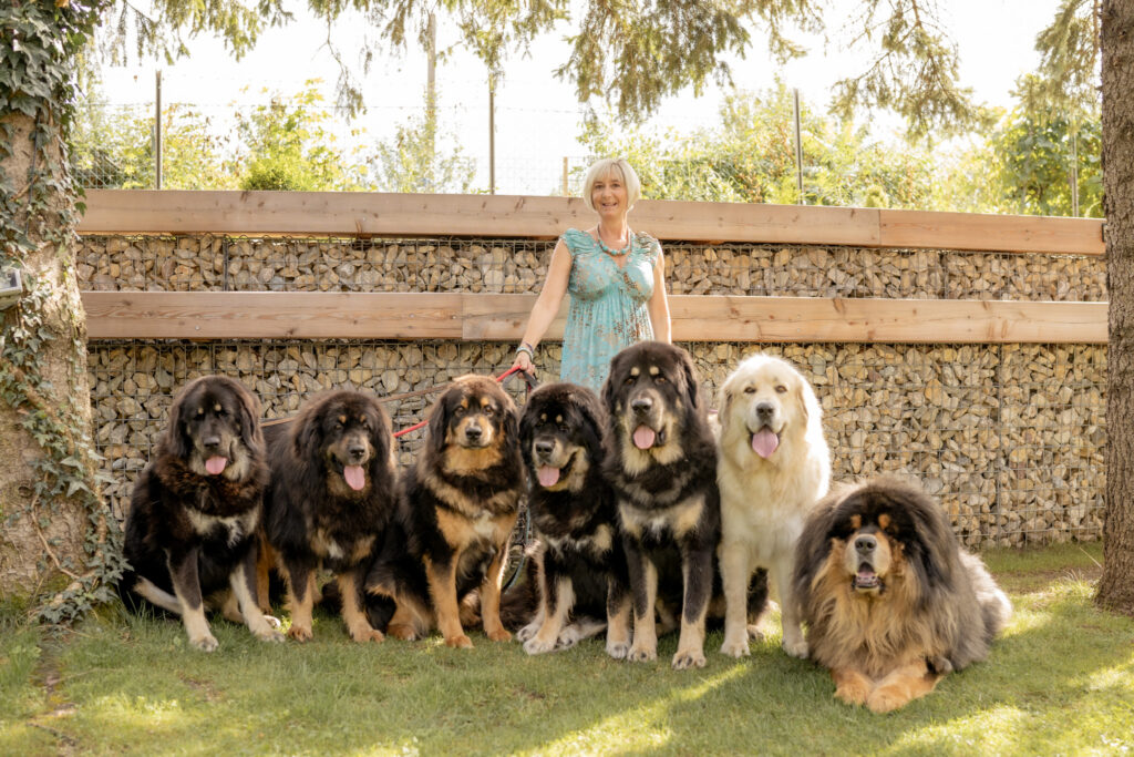 frau-mit-hunderudel-dokhyi-hundefotografin-niederoesterreich-mit-sonnenlicht