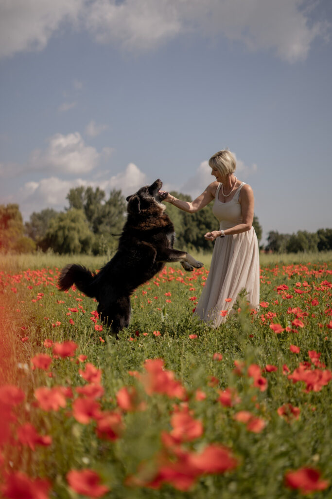 hundefotografin-niederoesterreich-frau-mit-hund-mohnfeld-hund-springt